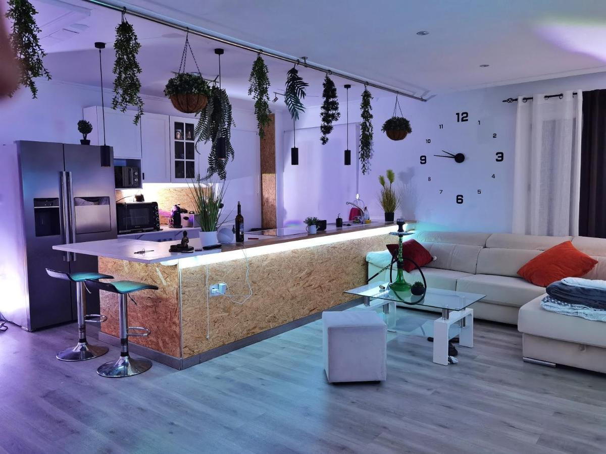 Stag Hendo25Pax Only 10Min To The Party Area Despedidas 25Pax 10 Min De La Zona De Fiesta Consultar Precio Benidorm Eksteriør bilde
